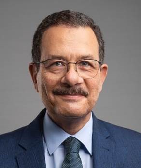 Prof Ahmed M. Darwish