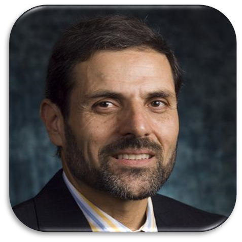 Prof. Seyed Mojtaba Sadrameli